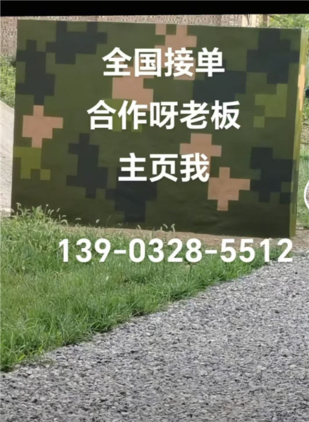 阿拉善专业迷彩漆施工：围墙防护数码漆